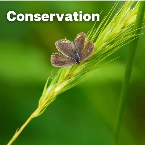 Perkiomen Watershed Conservancy