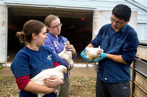Animal Science | Major Finder | Admissions | University of Delaware