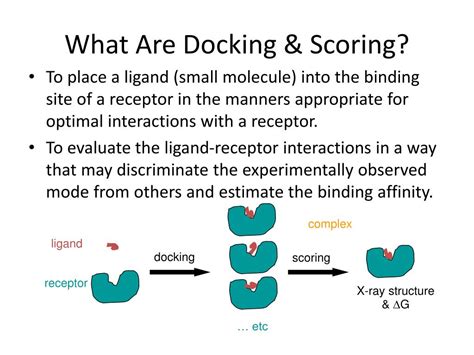 Image result for Search Algorithm Docking