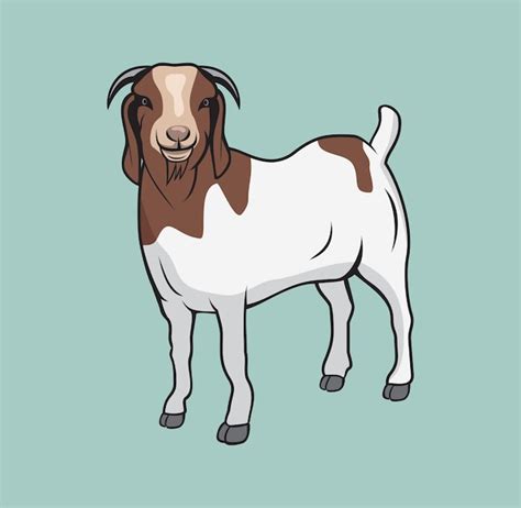 Designillustration der Burenziege | Premium Vektor
