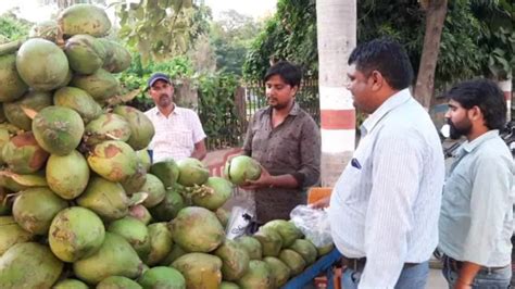 नारियल पानी और कीवी फल प्लेटलेट बढ़ाता है, डेंगू मरीजों के लिए लाभकारी ...