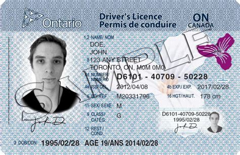 最新加拿大安省驾照指南！ – 加拿大多伦多新飞扬留学