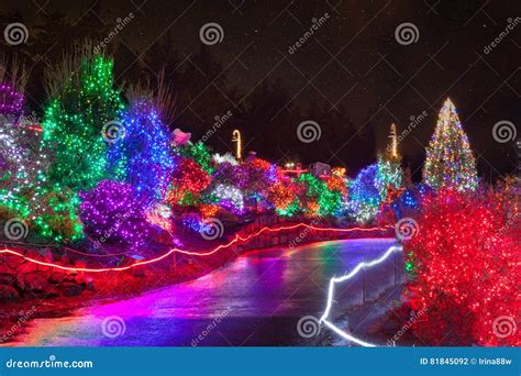 Zoolights at the Point Defiance Zoo in Tacoma, WA Stock Photo - Image ...