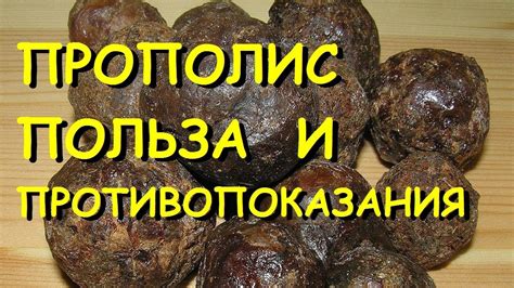 Прополис - польза, как принимать, рецепты и противопоказания