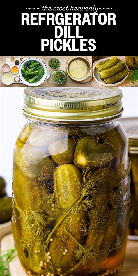 How to Make Crispy Refrigerator Dill Pickles Without Canning - Nurtured ...