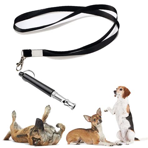 DOG TRAINING & BEHAVIOUR AIDS