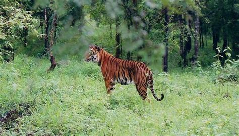 Best Places To Visit In Chikmagalur In 2026 For Immense Fun