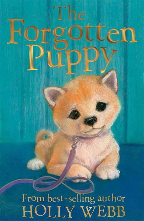 The Forgotten Puppy: 29 (Holly Webb Animal Stories) : Webb, Holly ...