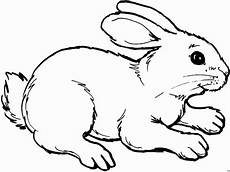 hase ausmalbilder gratis hase malvorlagen bilder hase malvorlagen foto 1024 x 768 hase ausmalbilder gratis hase malvorlagen bilder hase malvorlagen foto 1024 x 768