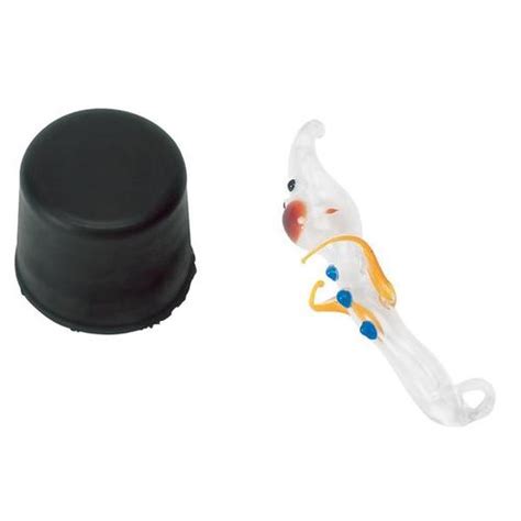 Cartesian Diver | 1002867 | U14090 | Buoyancy | 3B Scientific