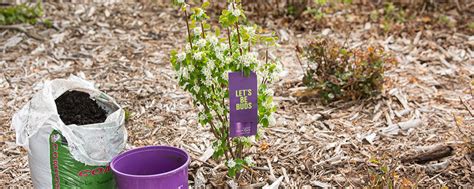 Image result for Spring Gardening Tips