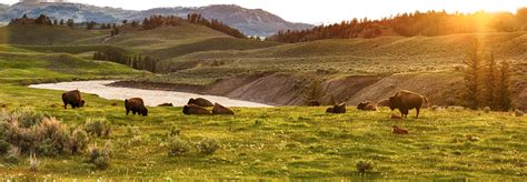 Blackfeet Community College