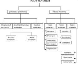 Plant Movements - Botany Optional for UPSC PDF Download