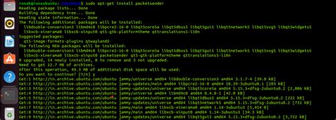 Packet Client How to Install 的图像结果