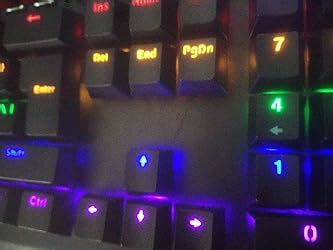 Amazon.in: Buy Quantum QHM9800 Rapid Strike Mechanical Gaming ...