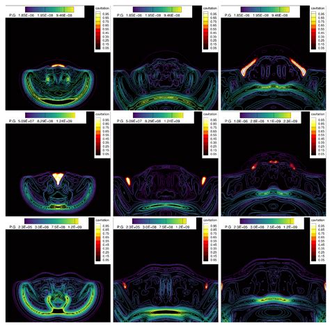 Application of Central-Weighted Essentially Non-Oscillatory Finite ...