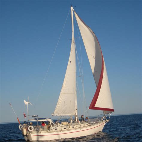 AMICUS ADVENTURE SAILING (2026) All You Need to Know BEFORE You Go (w ...