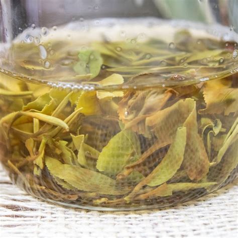 Rohini Darjeeling First Flush Rare Hand Rolled Spring Beauty Black Tea ...