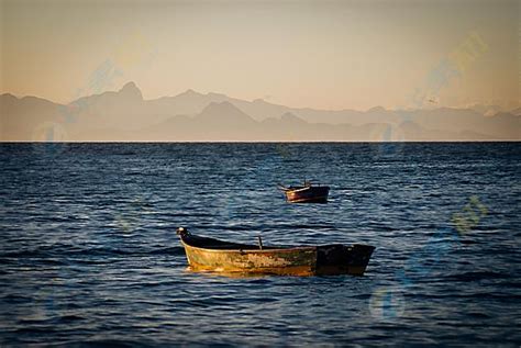 float 的图像结果