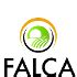 Working at Falca e Solutions | Glassdoor