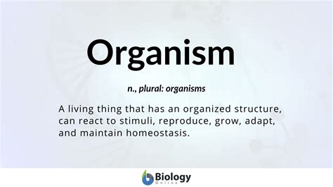 Organism Definition and Examples - Biology Online Dictionary