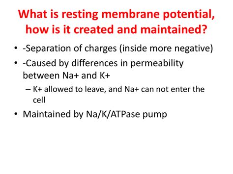 Image result for Resting potential Definition