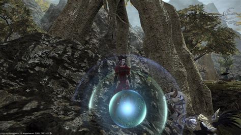 What are these orbs? I see them around and have no idea what they are ...