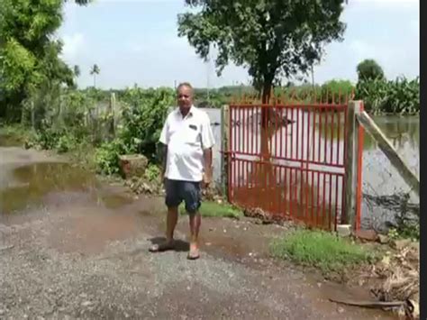 A new disaster for farmers of Narmada district: When the rains stop ...