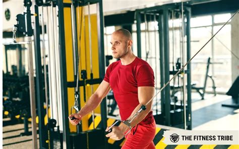 Image result for Best Functional Trainer