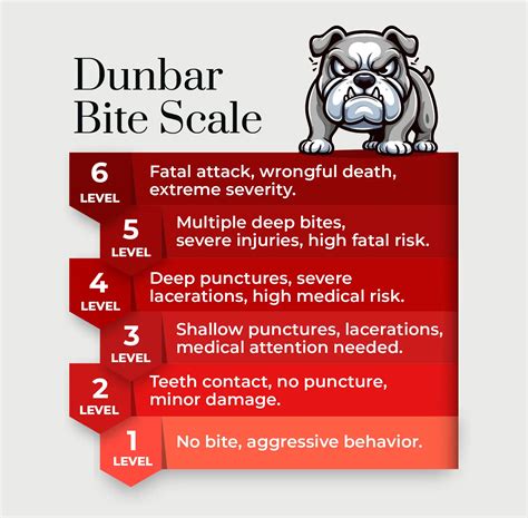 Dog Bite Levels and How they Affect Settlement - Stone Rose Law
