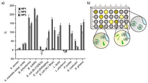 Well-Defined Conjugated Macromolecules Based on Oligo(Arylene ...