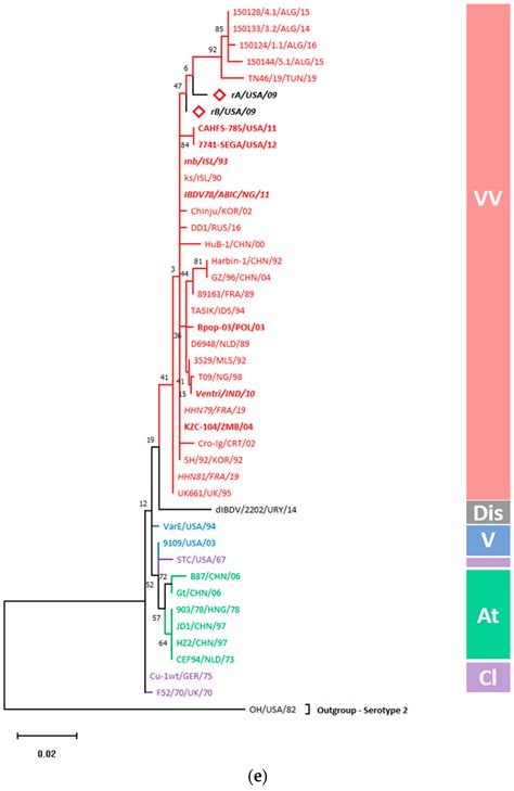 Whole Genome Sequencing of Infectious Bursal Disease Viruses Isolated ...