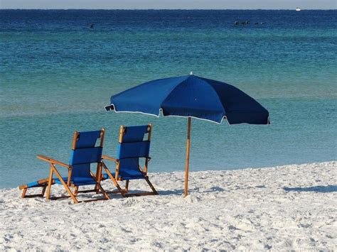 Image result for Sea Shells Beach Scenes