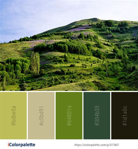 Nature Color 的图像结果