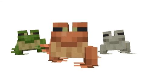 Image result for Minecraft Frogs Animation