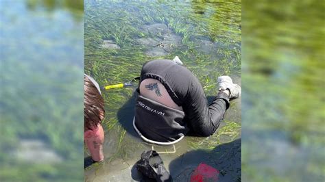 TikTok video of woman digging for geoduck in WA goes viral | FOX 13 Seattle