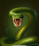 蛇 的图像结果