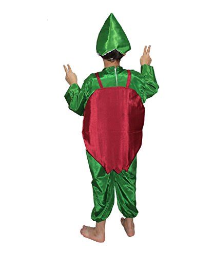 Buy Kaku Fancy Dresses Polyester Pomegranate Fruits Costume Cutout with ...