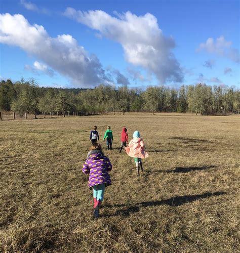 Activities - Appletree Farm | Gotland Sheep | Farmstay