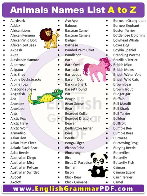 Aquatic Animals List A-Z With Pictures at Susan Jaimes blog