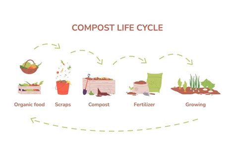 Image result for Composting Flow Chart