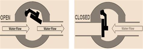 Image result for Algorithm Errors in Java