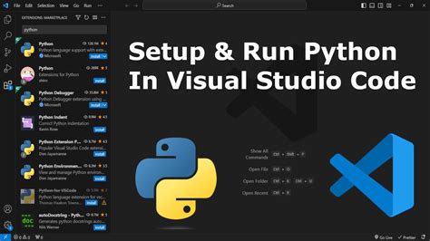 Setup Visual Studio Code Python Linux 的图像结果