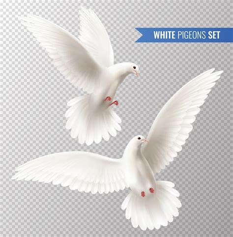 Images de Saint Esprit Charismatique – Téléchargement gratuit sur Freepik