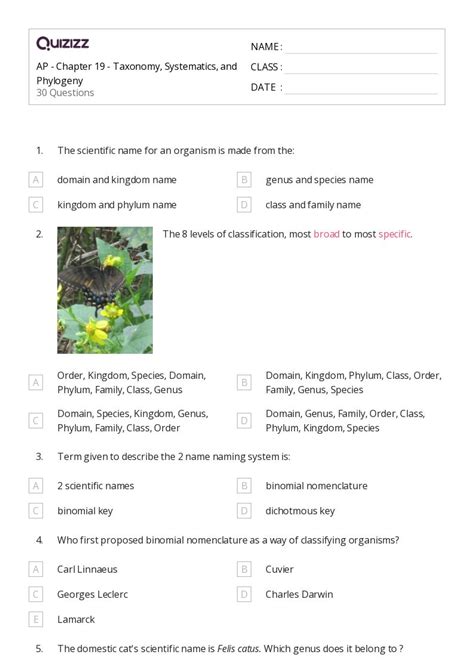 50+ phylogeny worksheets for 11th Class on Quizizz | Free & Printable