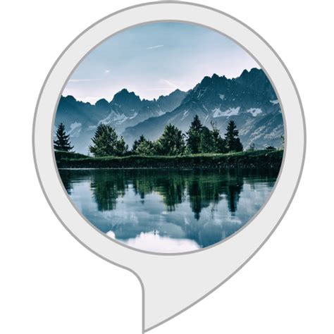 Amazon.in: null : Alexa Skills