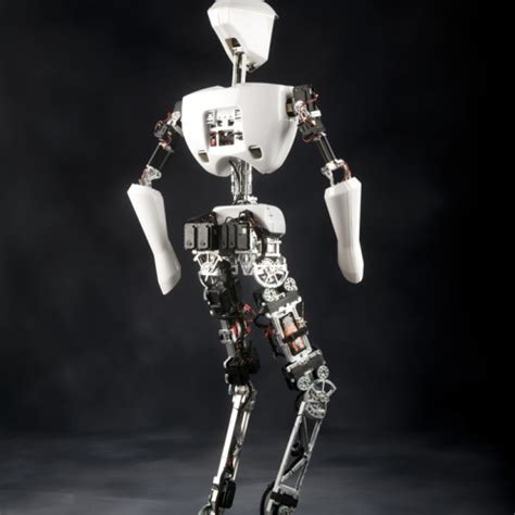 Humanoid Autonomous Robot 的图像结果