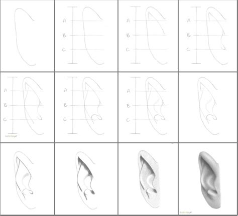 Image result for Ear Drawing Tutorial