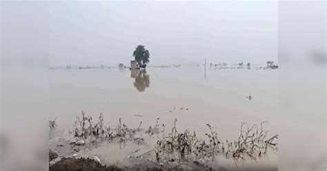 haryana news flood sonipat villages in dangerous condition manohar lal ...