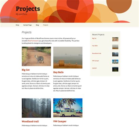 Image result for WordPress Projects